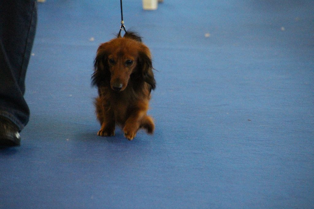 Number one de la Cité des Maraudeurs - 3EME TRES BON - CLASSE INTERMEDIAIRE MALE