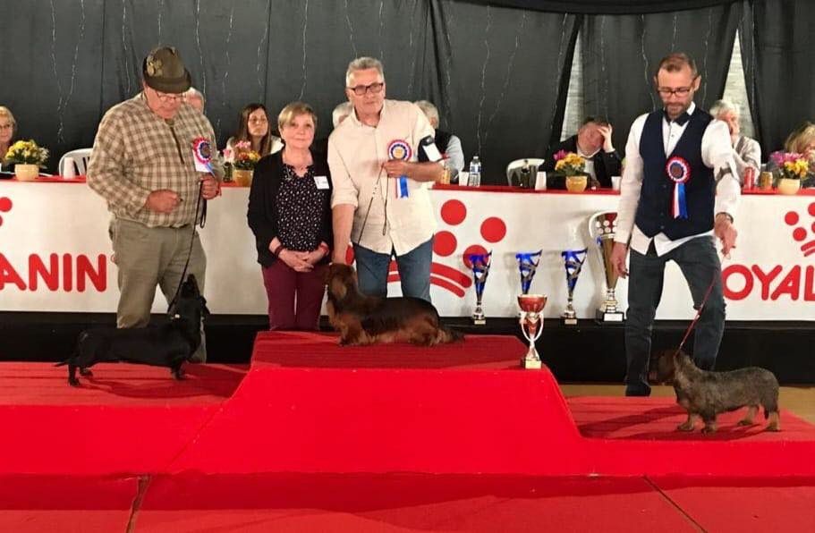 CH. Small in size but big prince de la Cité des Maraudeurs - MEILLEUR DU GROUPE 4 - BOG -