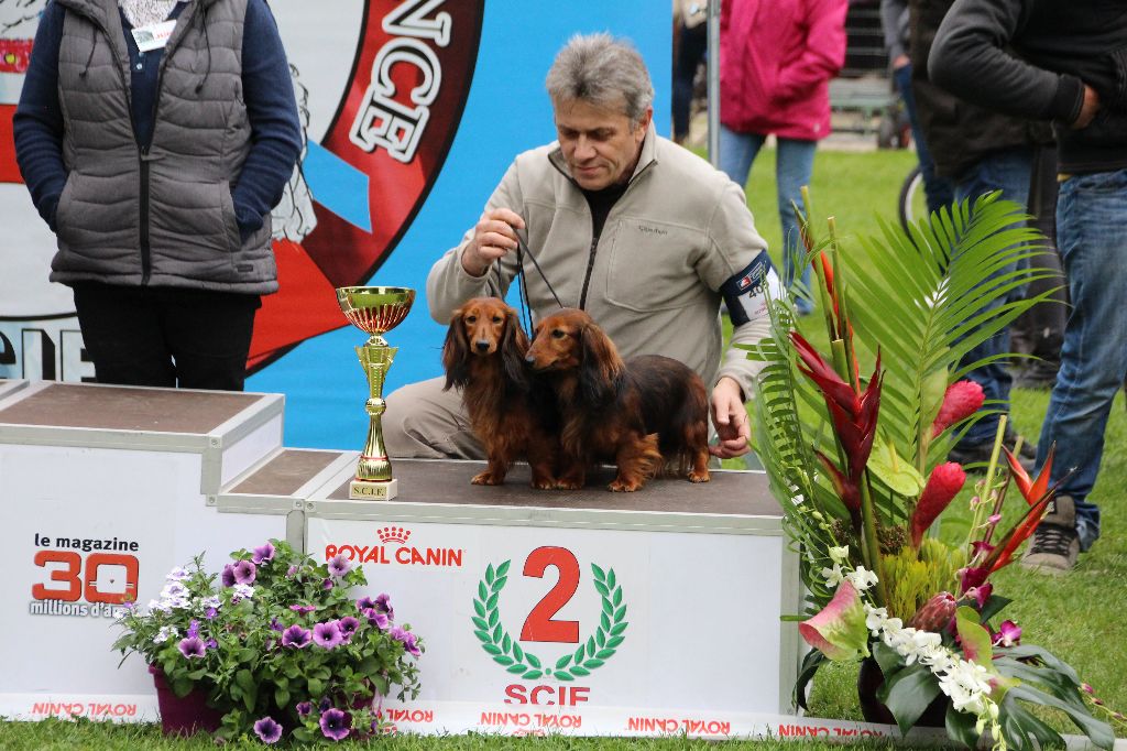 CH. Il était une fois l'impératrice de la Cité des Maraudeurs - 2 EME MEILLEUR PAIRE DE LEXPOSITION