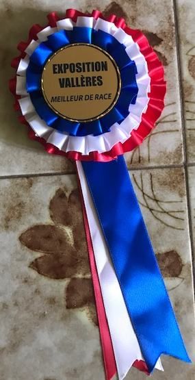 CH. Small in size but big prince de la Cité des Maraudeurs - 1ER EXC CLASSE INTERMEDIAIRE - CACS - BOB