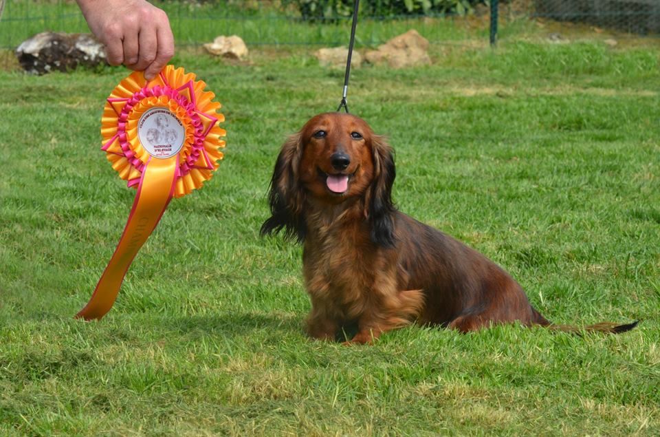 CH. Il était une fois l'impératrice de la Cité des Maraudeurs - 1ER EXC CLASSE CHAMPION