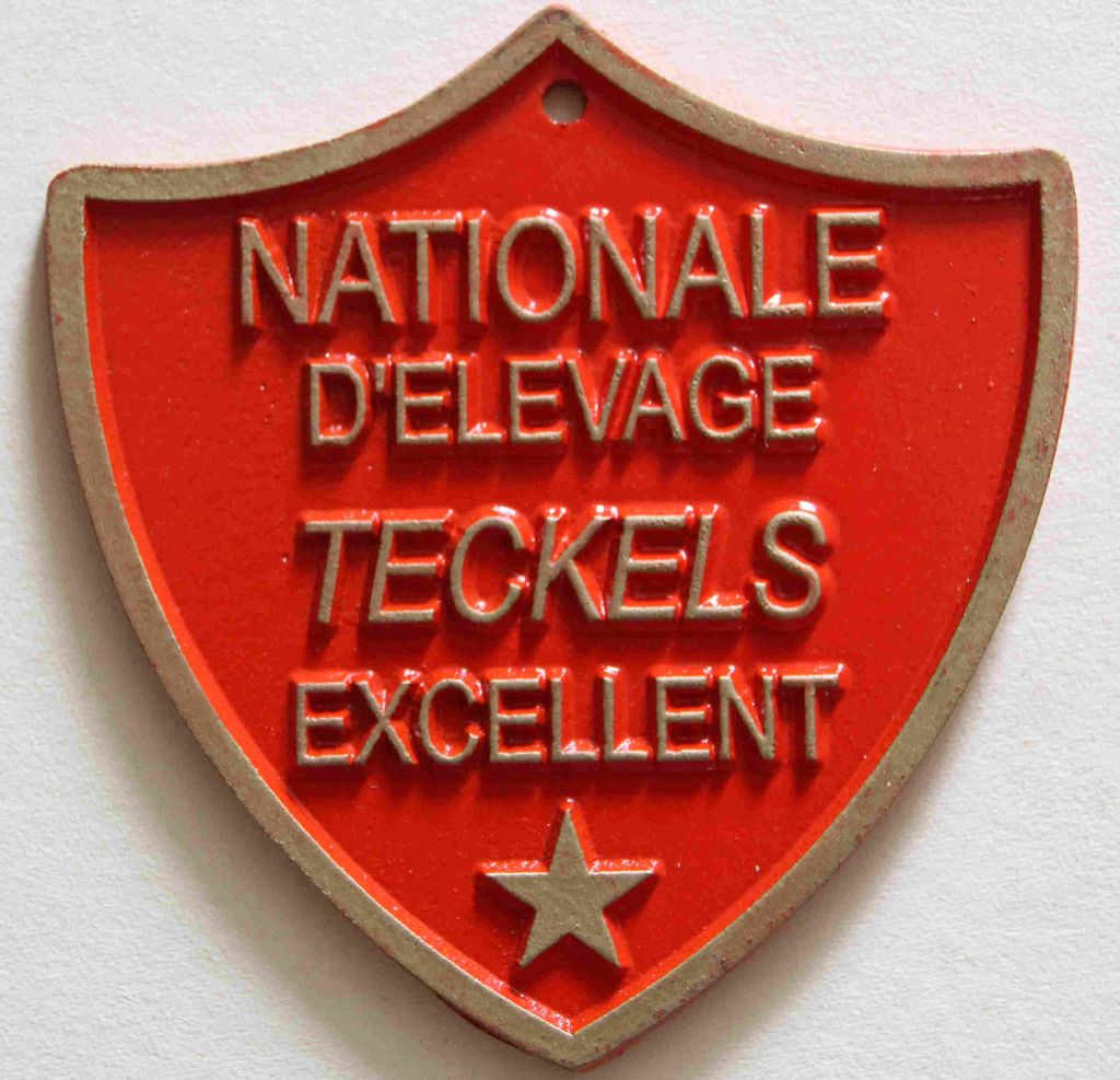 CH. Small in size but big prince de la Cité des Maraudeurs - 2EME EXC CLASSE JEUNE