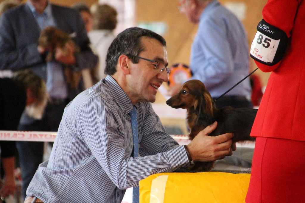Odyssée des dieux de la Cité des Maraudeurs - 1ER PROMETTEUR CLASSE BABY FEMELLE
