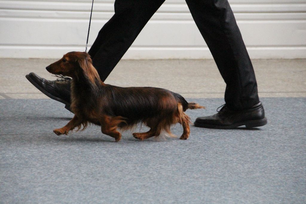 CH. Il était une fois l'impératrice de la Cité des Maraudeurs - 2 EXC CLASSE CHAMPION