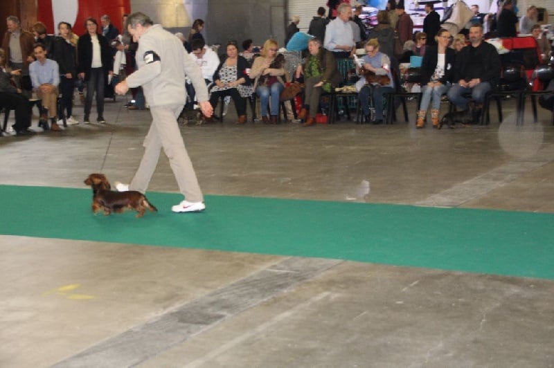 CH. Il était une fois l'impératrice de la Cité des Maraudeurs - 1er Excellent Classe Champion