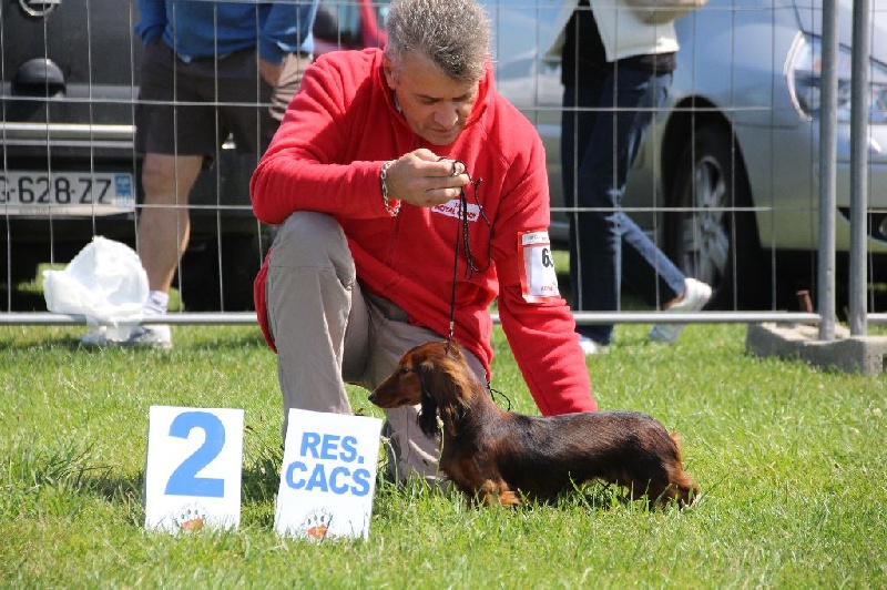 CH. Il était une fois l'impératrice de la Cité des Maraudeurs - 2 eme excellent classe ouverte RCACS