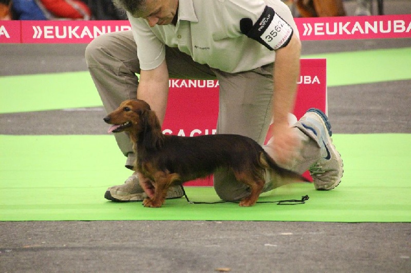 CH. Il était une fois l'impératrice de la Cité des Maraudeurs - 2ème Excellent Classe Ouverte