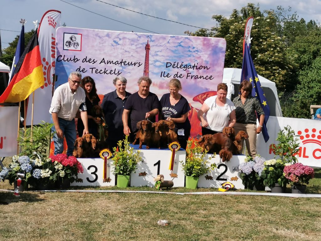 CH. Small in size but big prince de la Cité des Maraudeurs - 3EME MEILLEUR LOT D'AFFIXE SUR 4 DE LA REGIONALE D'ELEVAGE