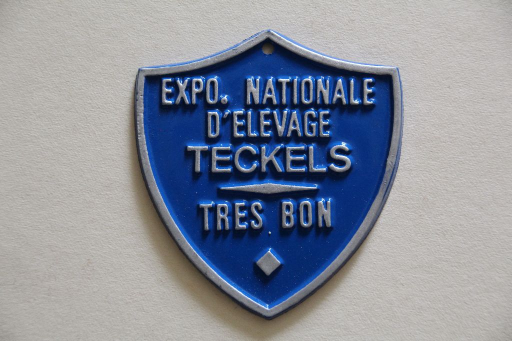 CH. Il était une fois l'impératrice de la Cité des Maraudeurs - 2EME TB CLASSE VETERAN