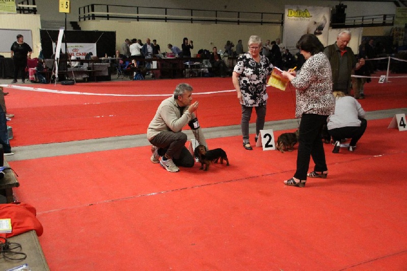 CH. Il était une fois l'impératrice de la Cité des Maraudeurs - 1ER EXC Classe ouverte RCACS