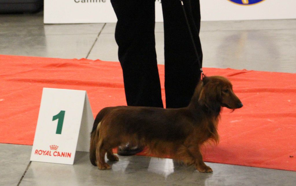 Number one de la Cité des Maraudeurs - 1ER EXC CLASSE JEUNE - MEILLEUR JEUNE -