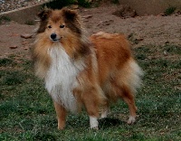 Publication : de Kertanhyys Auteur : Victoire COLOMBEL