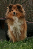 Publication : de Kertanhyys Auteur : Victoire COLOMBEL