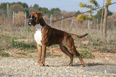 Publication : du royaume de sky