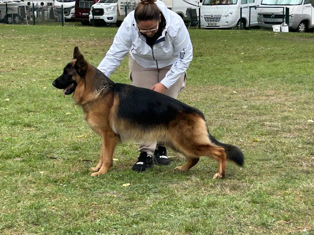 Texas de la vallée des crocs blancs