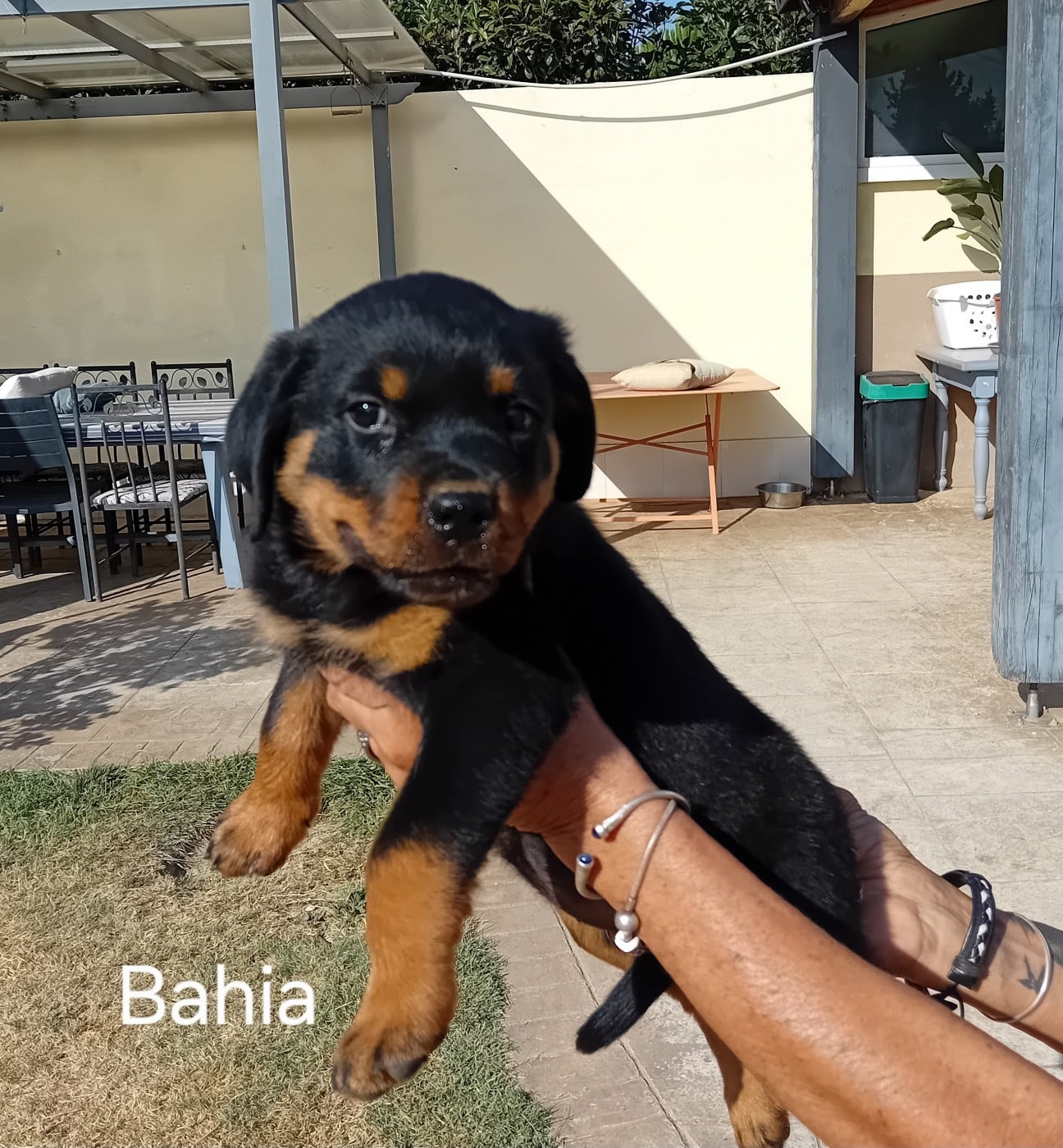 Bahia