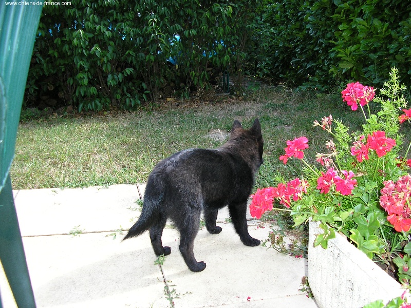 Publication : des négritos de la combe de vaux