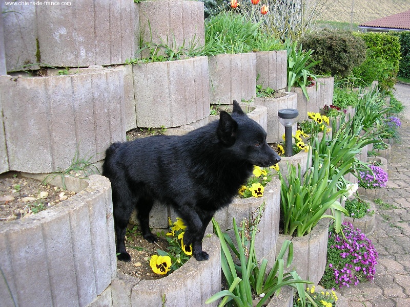 Publication : des négritos de la combe de vaux