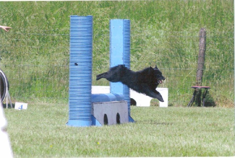 Publication : des négritos de la combe de vaux