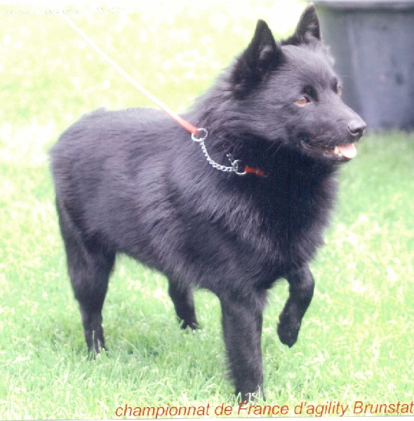 Publication : des négritos de la combe de vaux