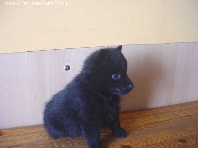 Publication : des négritos de la combe de vaux