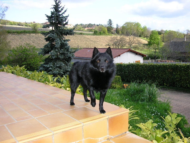 Publication : des négritos de la combe de vaux