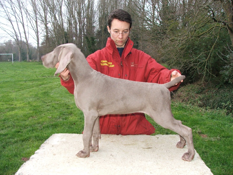 CH. Le cinquième element at silberweiss fala love'a