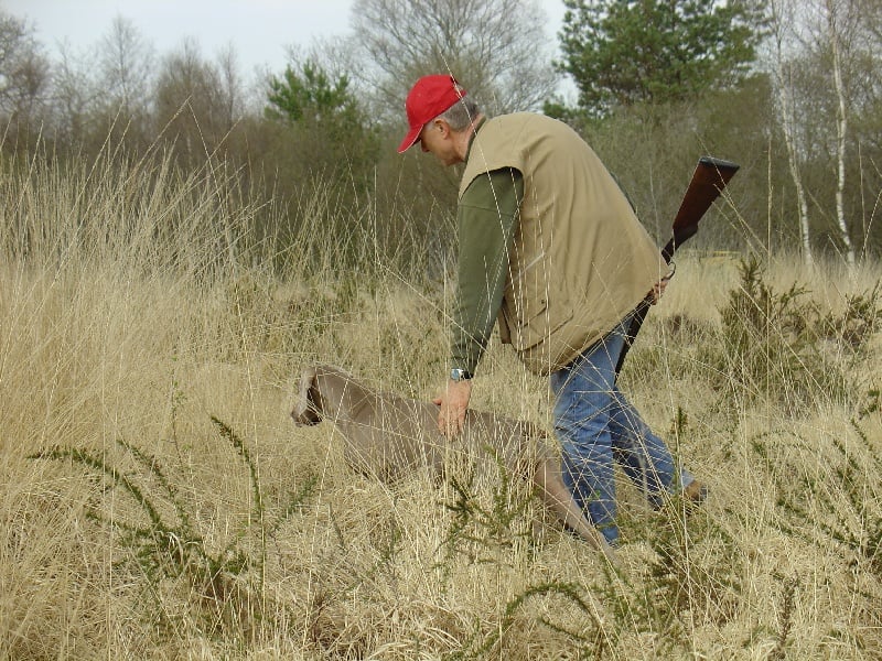 S'amber diva (Sans Affixe)