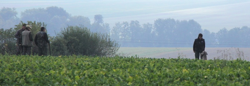 TR. CH. Fly me to the moon phoenix von silberweiss jäger - 2ème EXC + RCACT