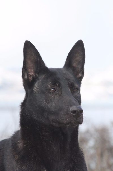 Mac Khalahann's H'avel