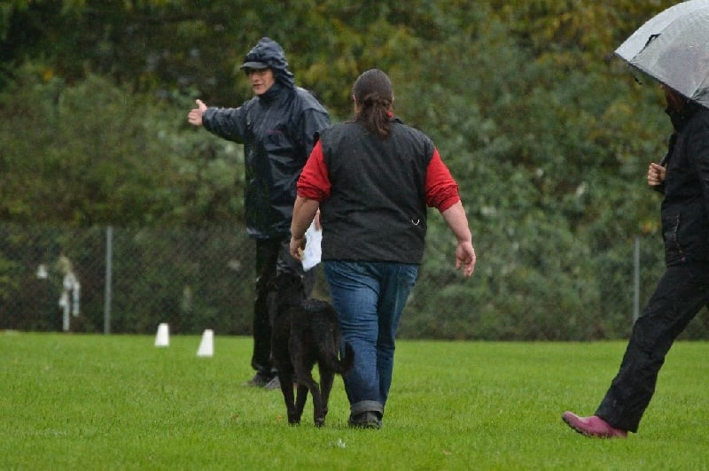 Mac Khalahann's H'avel