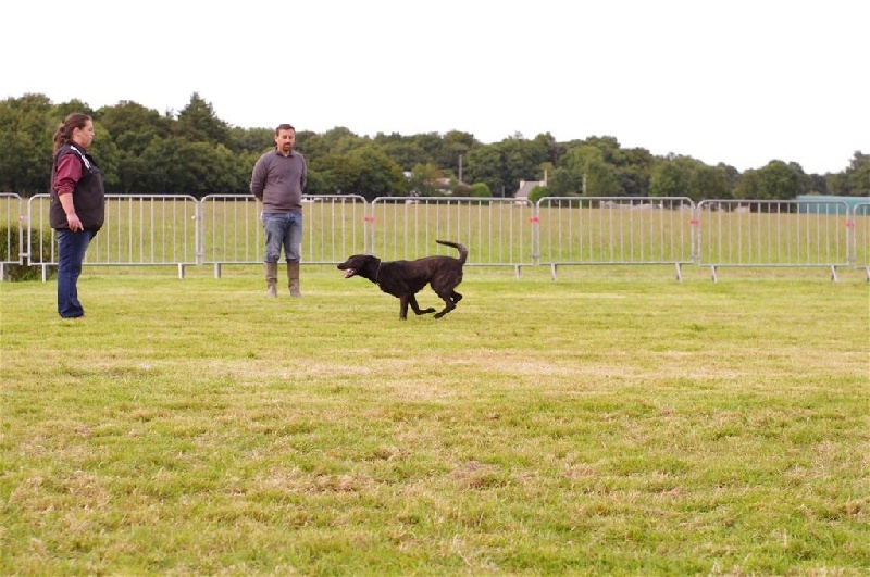 Mac Khalahann's H'avel