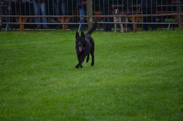 Mac Khalahann's H'avel