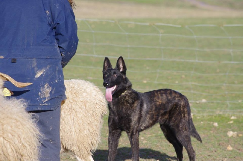 Info of Saint John's