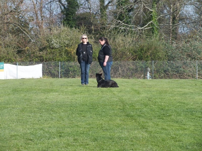 Mac Khalahann's H'avel