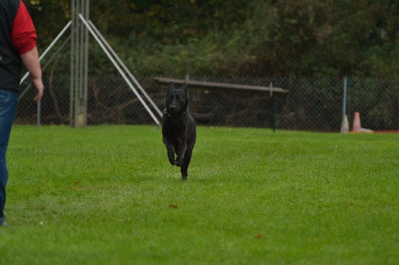 Mac Khalahann's H'avel