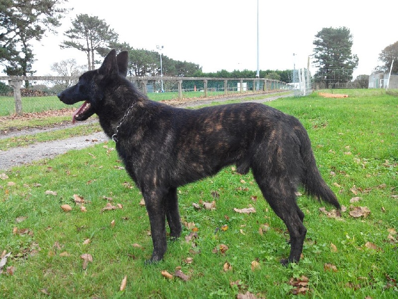 Info of Saint John's