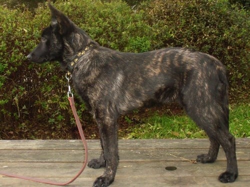 Info of Saint John's