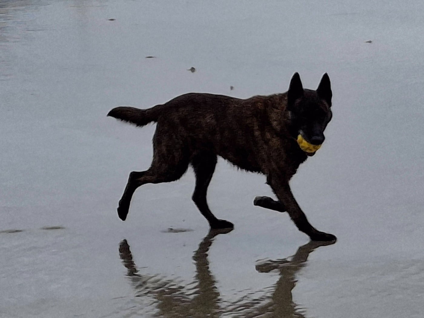 Markelle of Saint John's