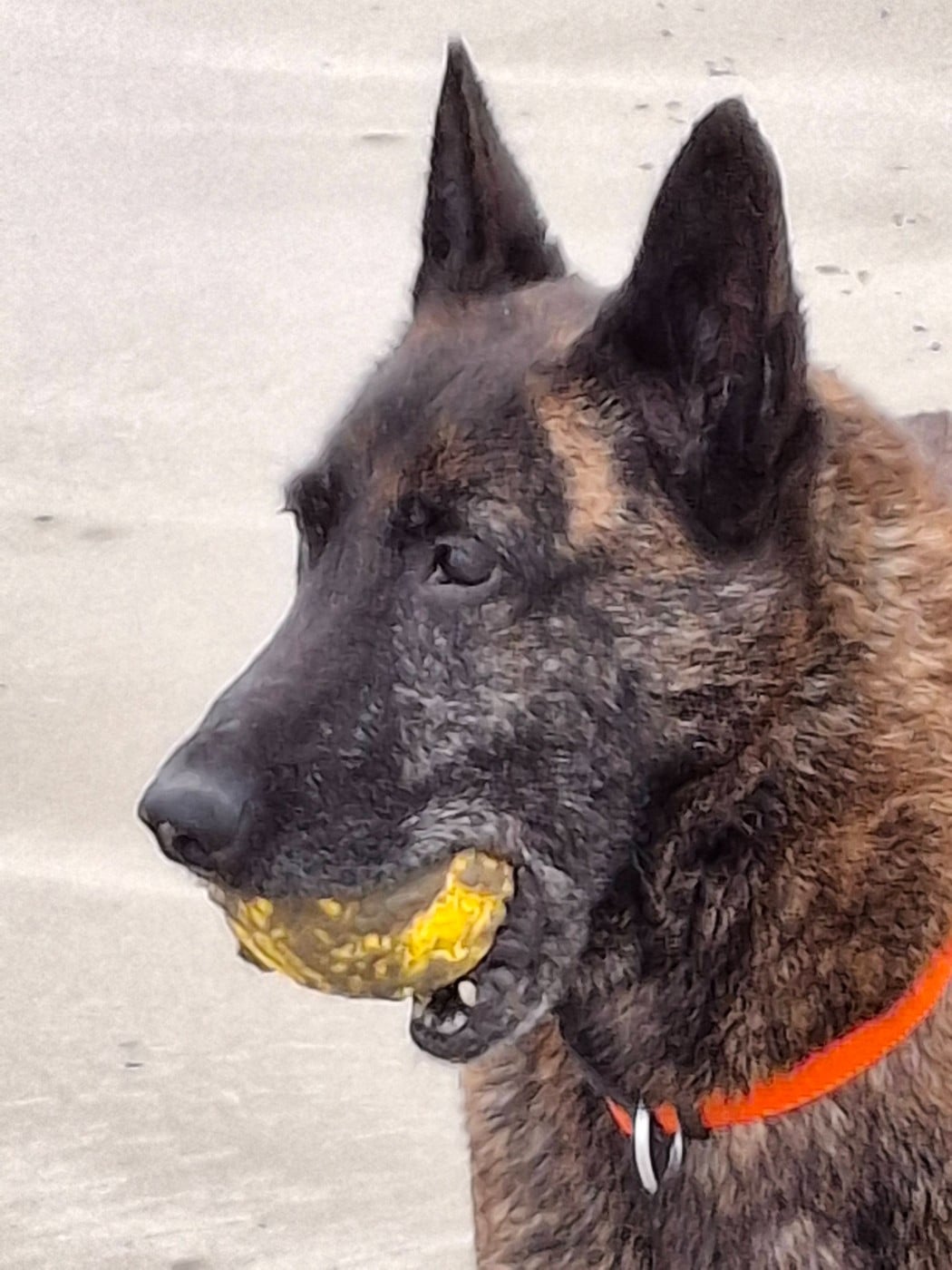 Markelle of Saint John's