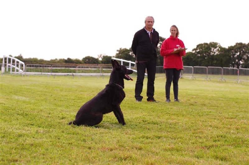 Mac Khalahann's H'avel