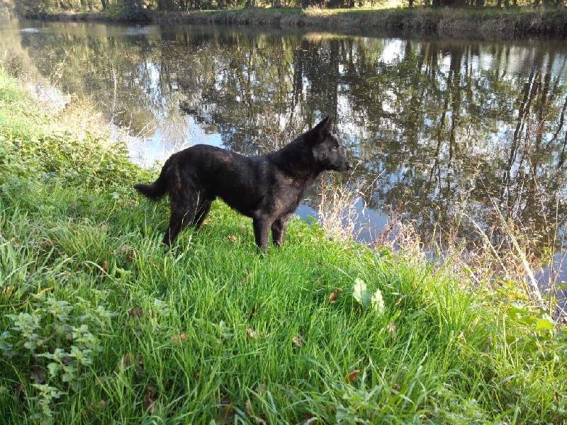 Info of Saint John's