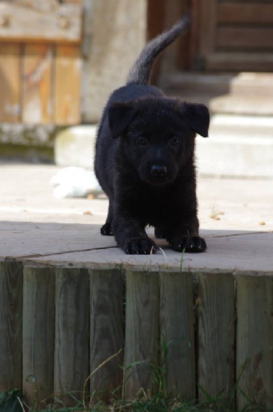 Info of Saint John's