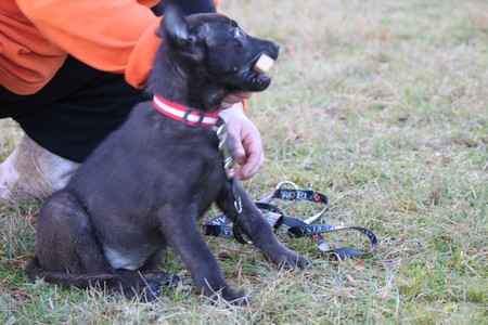 Mac Khalahann's H'avel