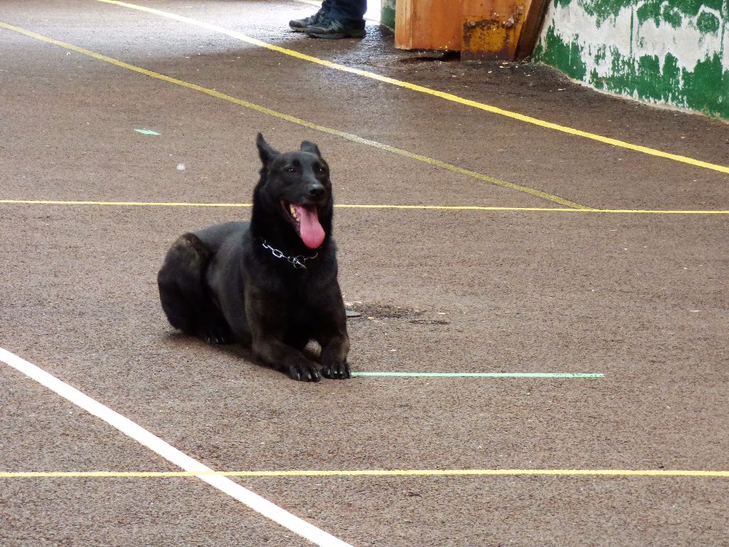 Mac Khalahann's H'avel