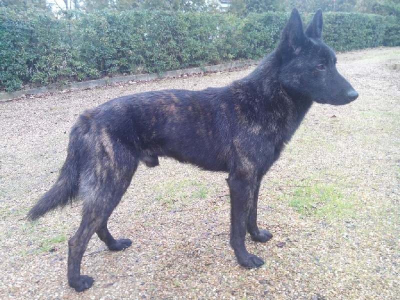 Info of Saint John's