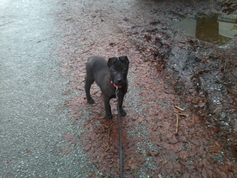 Mac Khalahann's H'avel