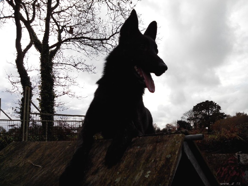 Info of Saint John's