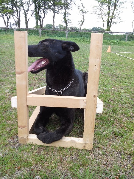 Mac Khalahann's H'avel