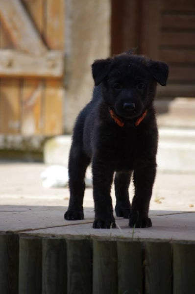 Info of Saint John's